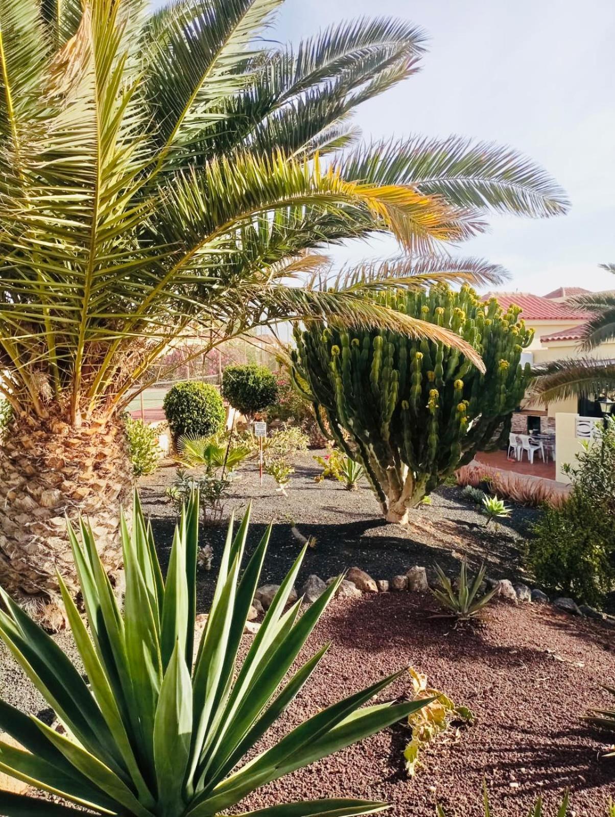 Ferienwohnung Casa La Pepita Caleta De Fuste Exterior foto